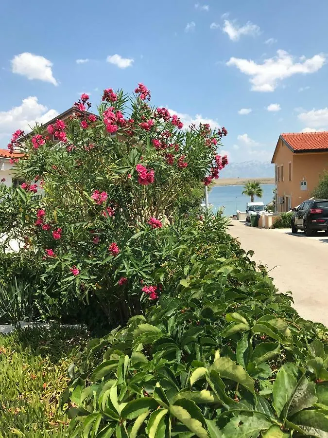 Apartmani Darija Vir Apartment